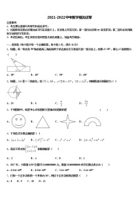 2022年福建省漳州市中考数学仿真试卷含解析