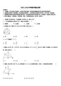 2022年广东省汕尾市陆丰市达标名校中考适应性考试数学试题含解析