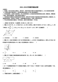 2022年广东省深圳市北大附中深圳南山分校中考适应性考试数学试题含解析