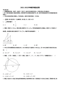 2022年广西陆川县中考数学模试卷含解析