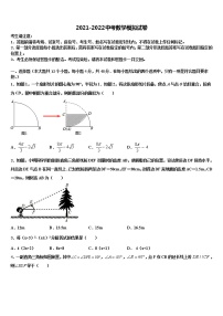 2022年广东省深圳市罗芳中学中考数学全真模拟试卷含解析