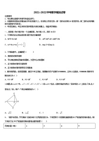 2022年广西梧州市岑溪市重点中学中考数学仿真试卷含解析