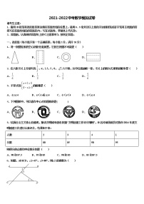 2022年贵州都匀中考数学适应性模拟试题含解析