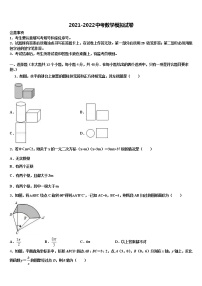 2022年海南省三亚市重点中学初中数学毕业考试模拟冲刺卷含解析