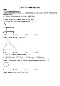 2022年北京师大附属实验中学中考冲刺卷数学试题含解析