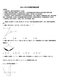 2022年河南省南阳市新野县重点中学中考数学模试卷含解析