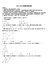 2022年河南省濮阳市濮阳县重点中学中考二模数学试题含解析