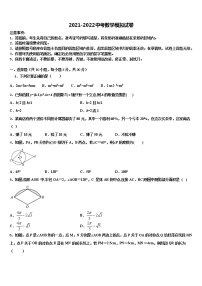 2022年河南省洛阳市李村一中学中考数学适应性模拟试题含解析