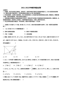 2022年菏泽市中考数学对点突破模拟试卷含解析