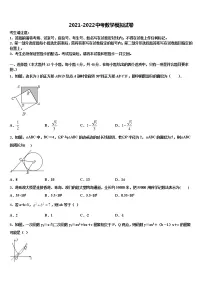 2022年河南省商丘综合实验中学中考数学仿真试卷含解析