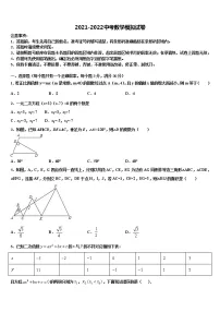 2022年河南周口港区中考数学仿真试卷含解析