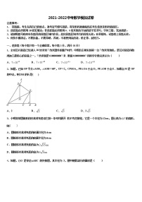 2022年湖南省长沙市湖南师大附中高新实验中学中考数学押题试卷含解析