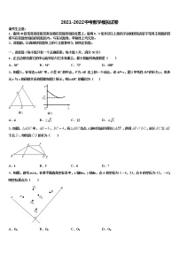 2022年湖南省益阳市中考猜题数学试卷含解析