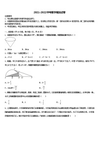 2022年湖南省茶陵县中考一模数学试题含解析