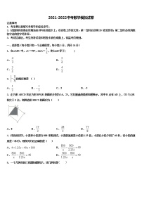 2022年湖南省益阳市桃江县中考数学押题卷含解析