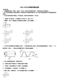 2022年北京临川校中考数学模拟精编试卷含解析