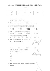 2021-2022学年湖南省娄底市八年级（下）作业数学试卷（二）（含解析）