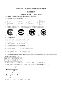 广西壮族自治区北海市2021-2022学年七年级下学期期末数学试题(word版含答案)