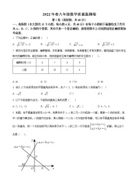 重庆市梁平区2021-2022学年八年级下学期期末数学试题(word版含答案)