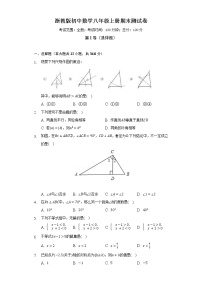 浙教版初中数学八年级上册期末测试卷（较易）（含答案解析）