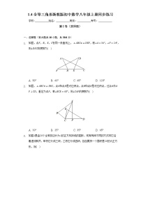 浙教版八年级上册1.4 全等三角形精品综合训练题