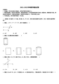 2022年江苏省宝应县城郊中学中考数学适应性模拟试题含解析