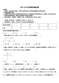 2022年湖南长沙市湘一芙蓉二中学中考数学仿真试卷含解析