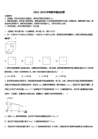 2022年江苏省高邮市阳光双语市级名校中考数学押题试卷含解析