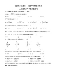 湖北省武汉市经开区2021-2022学年八年级下学期期末考试数学试题(word版含答案)