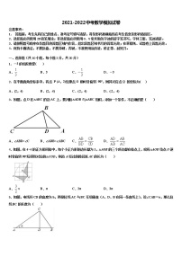 2022年江苏省苏州市吴江青云中学中考数学猜题卷含解析