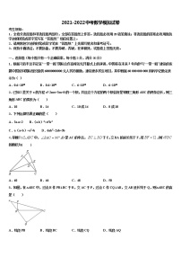 2022年江苏省泰州民兴中学中考数学模拟精编试卷含解析