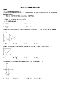 2022年江苏省南京市建邺区重点中学中考数学模拟试题含解析