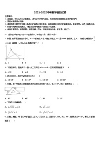 2022年江苏省南京市新城中学中考数学考试模拟冲刺卷含解析