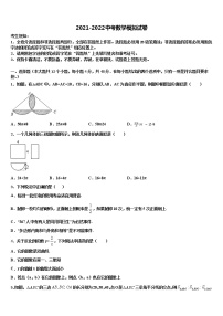 2022年江苏省宿迁市沭阳县重点名校中考适应性考试数学试题含解析