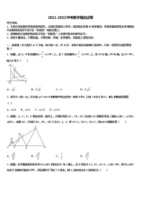 2022年辽宁省昌图县联考中考数学对点突破模拟试卷含解析