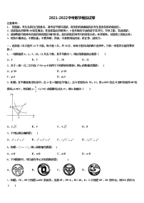 2022年江苏省南京市南师附中树人校中考冲刺卷数学试题含解析