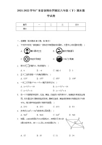 2021-2022学年广东省深圳市罗湖区八年级（下）期末数学试卷（Word解析版）