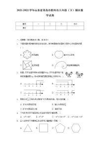 2021-2022学年山东省青岛市胶州市八年级（下）期末数学试卷（Word解析版）