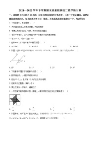 山东省泰安市高新区2021-2022学年七年级下学期期末数学试题(word版含答案)