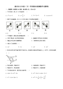 浙江省嘉兴市2021-2022学年七年级下学期期末数学试题(word版含答案)