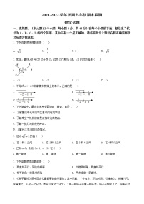 重庆市重庆市两江新区2021-2022学年七年级下学期期末数学试题(word版含答案)