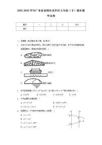 2021-2022学年广东省深圳市龙华区七年级（下）期末数学试卷（Word解析版）