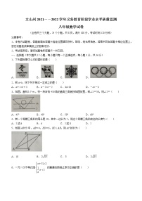 云南省文山壮族苗族自治州2021-2022学年八年级下学期期末数学试题(word版含答案)