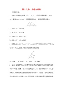 2022年广西桂林中考数学复习训练：第16讲 全等三角形(含答案)