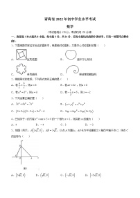 2022年青海省中考数学真题(含答案)