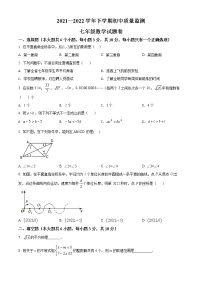 江西省新余市2021-2022学年七年级下学期期末数学试题(word版含答案)