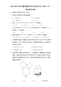 2021-2022学年安徽省滁州市定远县吴圩片八年级（下）期末数学试卷（Word解析版）