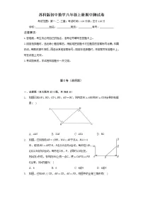 苏科版初中数学八年级上册期中测试卷（标准难度）（含答案解析）