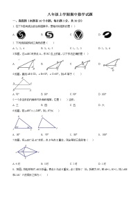 09 【人教版】八年级上期中数学试卷（含答案）