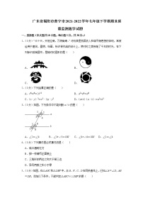 广东省揭阳市普宁市2021-2022学年七年级下学期期末质量监测数学试题(word版含答案)